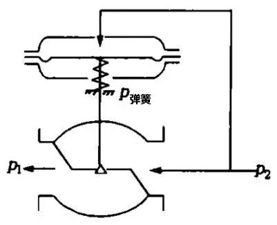 202308028346.jpg 3.jpg